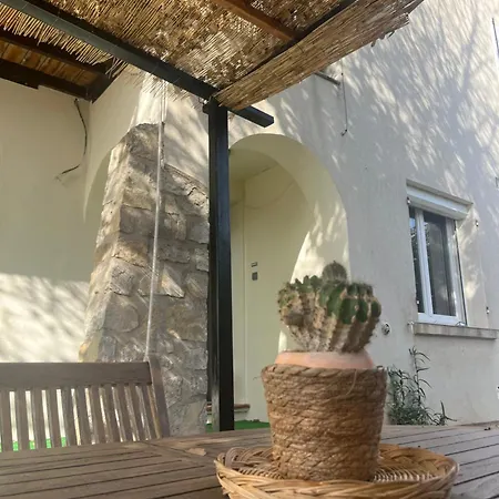 Rez De Avec Jardinet Proche De La *