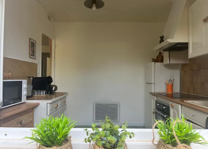 Rez De Avec Jardinet Proche De La Hyères