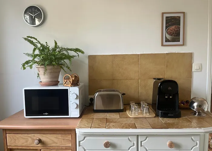 Appartement Rez De Avec Jardinet Proche De La *