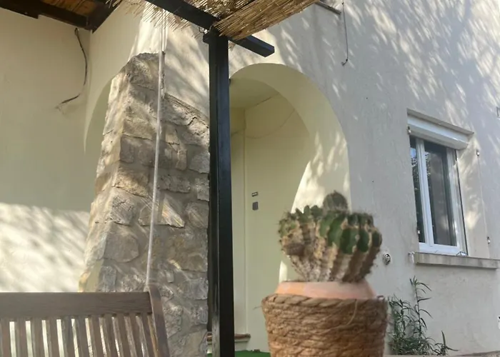 Rez De Avec Jardinet Proche De La *